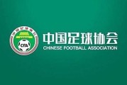 开云体育APP-TA关注中国假赌黑处罚： 曾效力埃弗顿的李铁被终身禁足